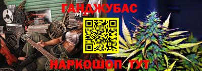 дмт Аргун