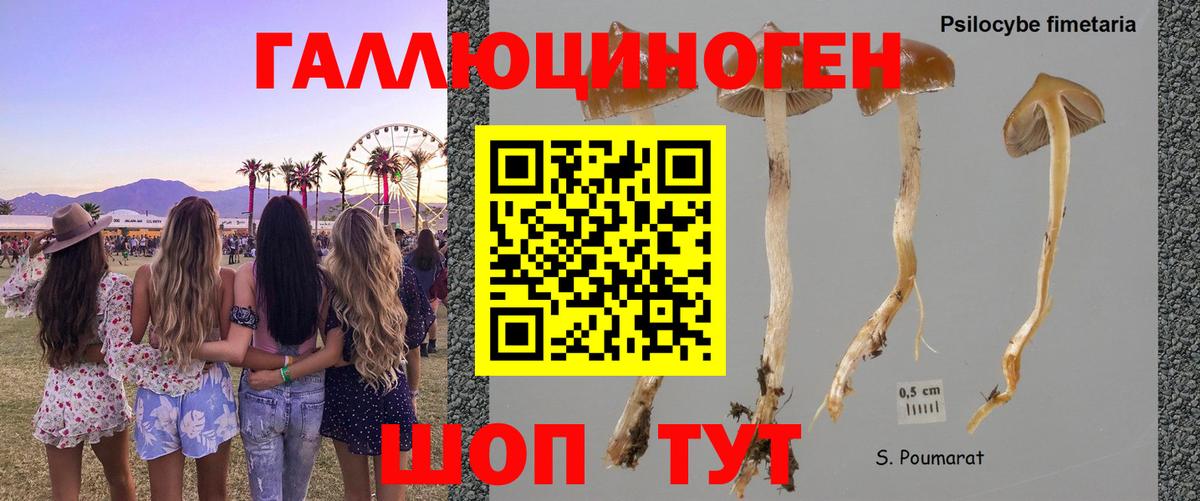 ГАШИШ  Вход с VPN  Cocaine  Меф МЯУ МЯУ кристаллы  Гашиш  Боровичи  Конопля 