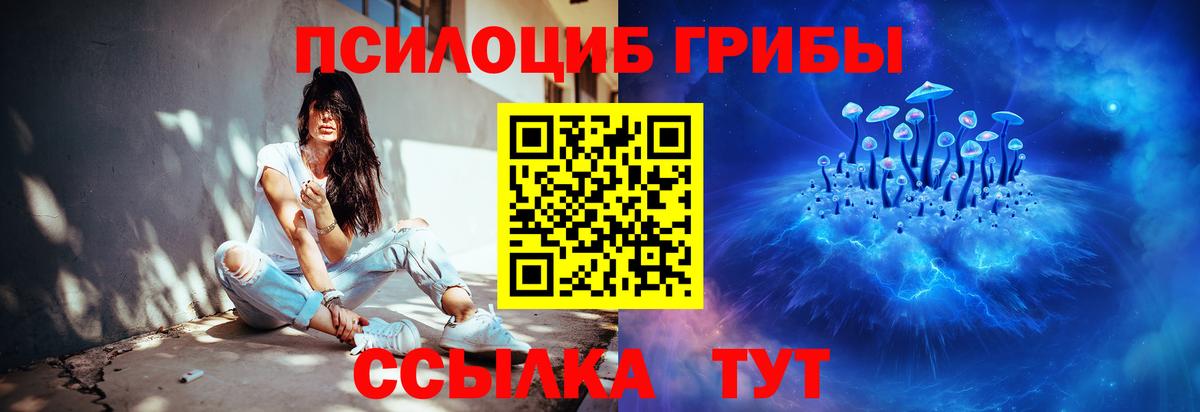 Галлюциногенные грибы Cubensis Боровичи