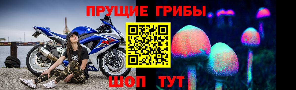 Боровичи  Галлюциногенные грибы мухоморы  Вход с VPN 